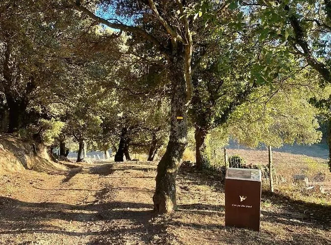 Bed & Breakfast Casa Di Mela